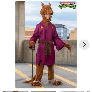 Teenage Mutant Ninja Turtle (TMNT) Splinter Costume